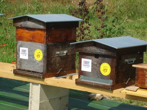 21mai201111 21mai201111