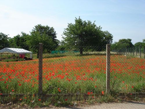 21mai20115 21mai20115
