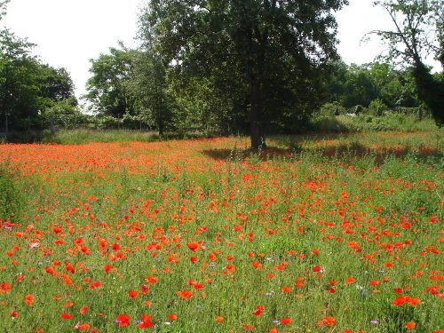 21mai20118 21mai20118
