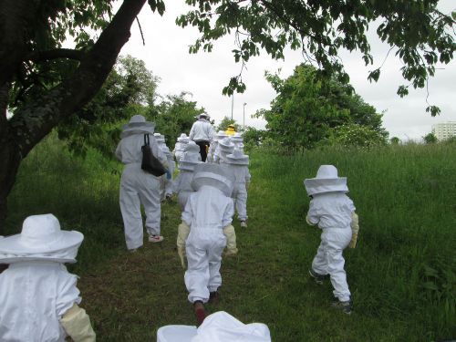 IMG 0952 IMG 0952