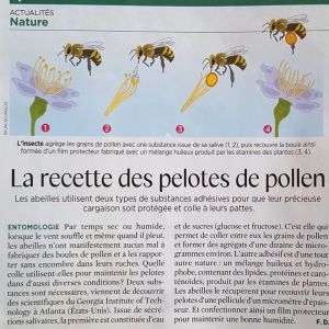 Articles de presse