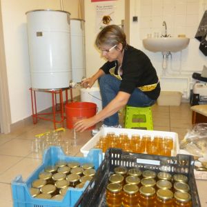 Mise en pot - 18 août 2014