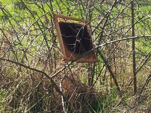 Vandalisme Rucher 5 mars 2015 3 Vandalisme Rucher 5 mars 2015 3