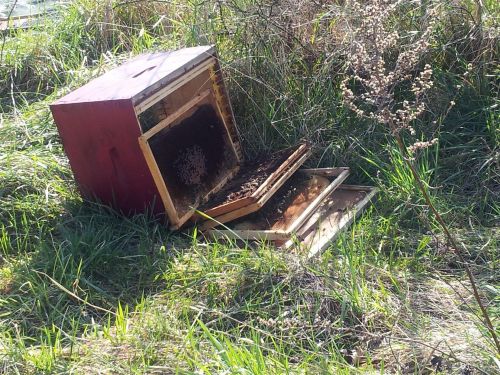 Vandalisme Rucher 5 mars 2015 4 Vandalisme Rucher 5 mars 2015 4