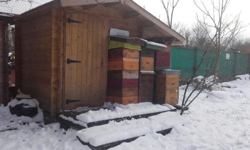 Rucher sous la neige 10 f  vrier 2018 7