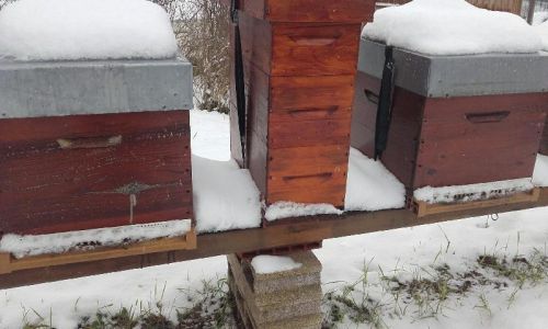 Rucher sous la neige 10 f  vrier 2018 9