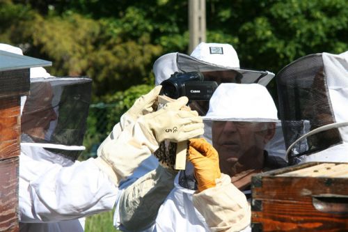 image4 image4
