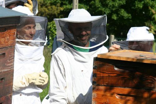 image5 image5