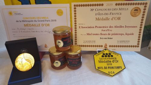 m  dailles 2019 2