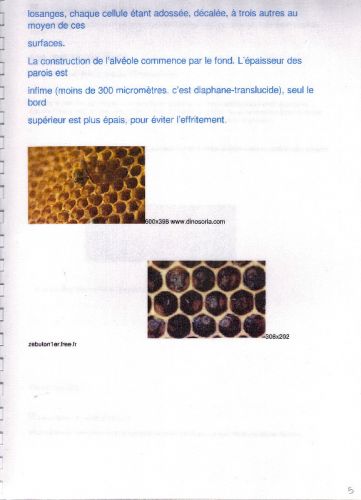 remerciements10