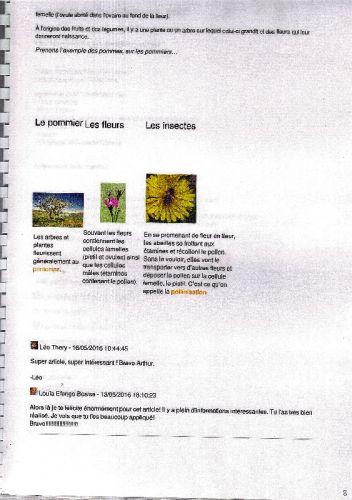 remerciements13