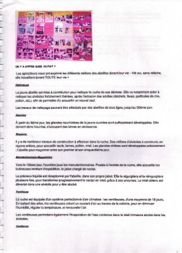 remerciements7