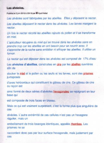 remerciements9