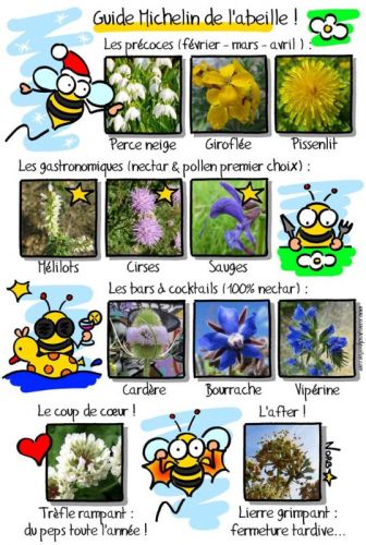 Le guide Michelin de l Abeille