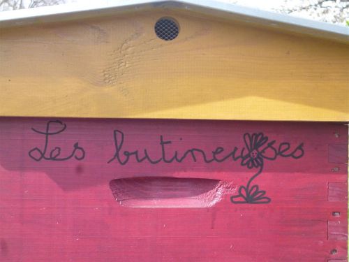 Les Butineuses  Large 