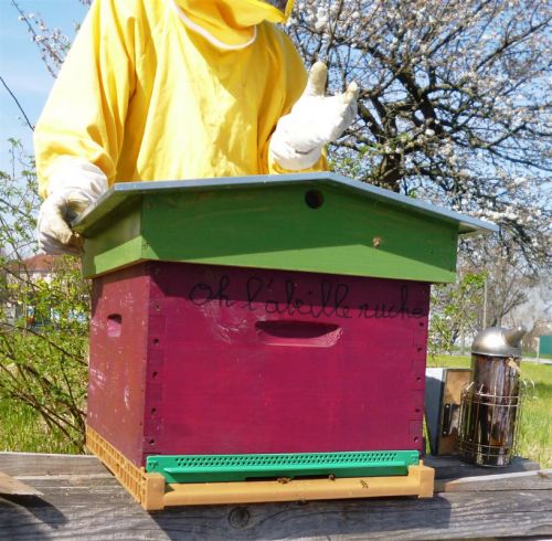 Oh l abeille ruche     Large 