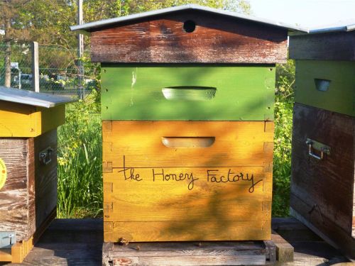 The Honey Factory  Large 