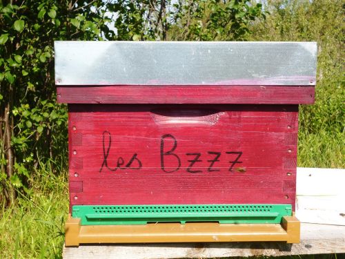 les Bzzz  Large 