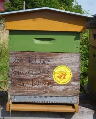 les Petites Sauveuses de la Terre  Large 