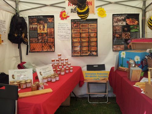 Ivry en Fete 2015 5 Ivry en Fete 2015 5