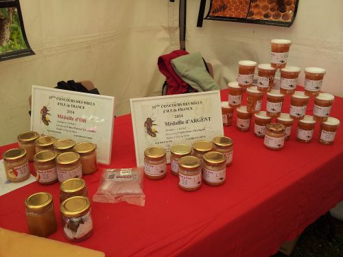 Ivry en Fete 2015 6 Ivry en Fete 2015 6
