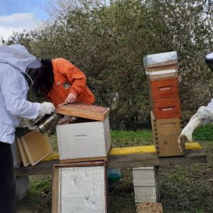 Visite de printemps - 27 mars 2021