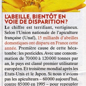 Paris Match Novembre 2014 Copie Paris Match Novembre 2014 Copie