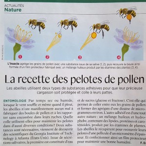 Sciences et Avenir Mai 2019 Sciences et Avenir Mai 2019