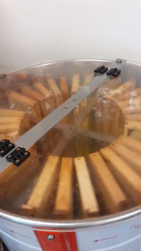 desoperculation extraction 28 aout 2021 5 desoperculation extraction 28 aout 2021 5